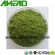 Spinach powder