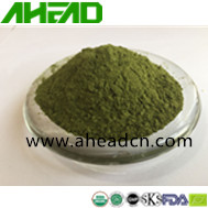 Wheat Grass Juice Powder   